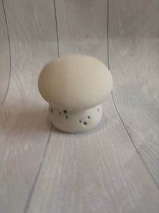 Small Mushroom Lantern - PaintPott