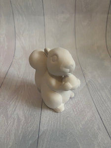 Squirrel - PaintPott