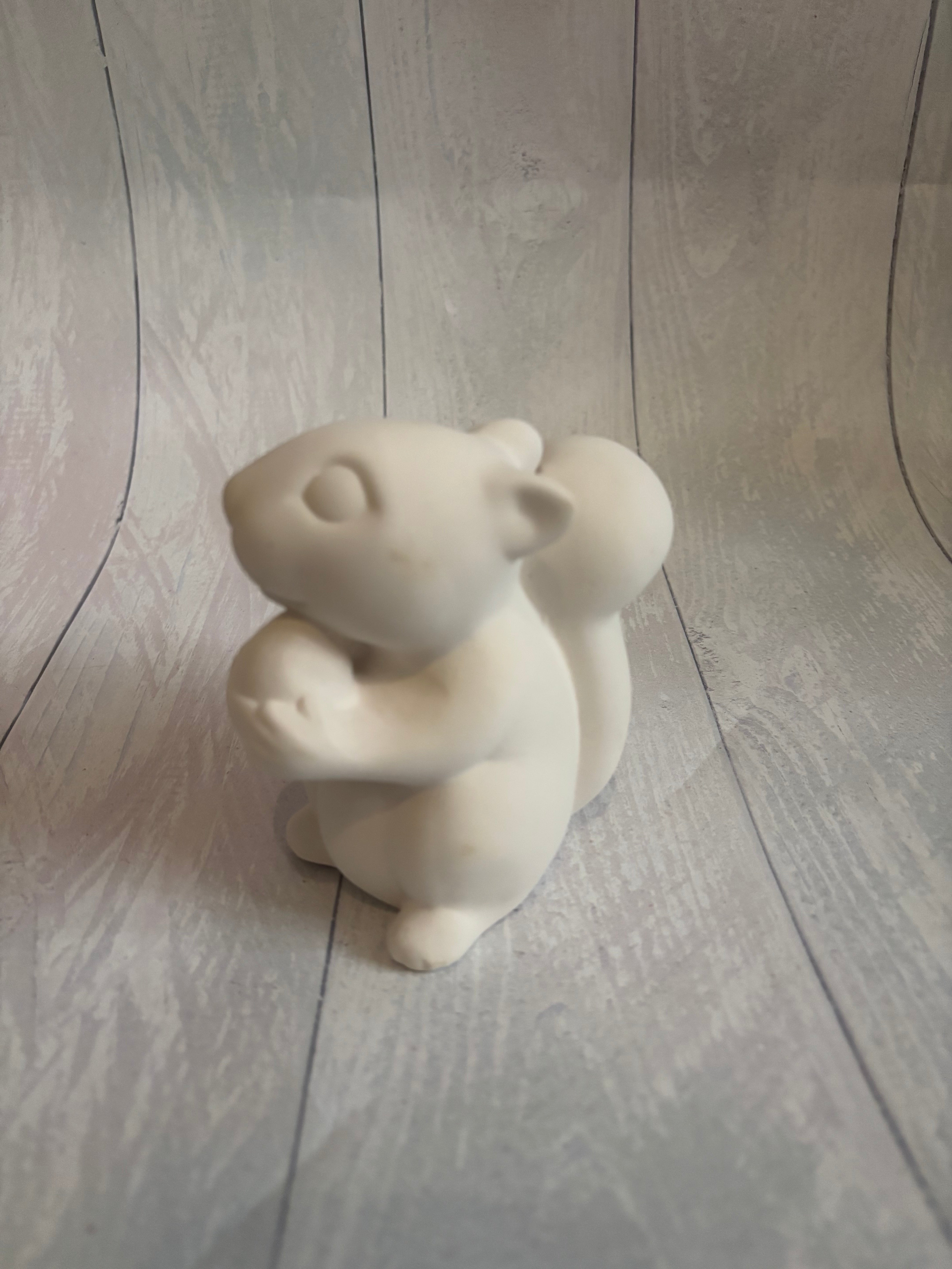 Squirrel - PaintPott
