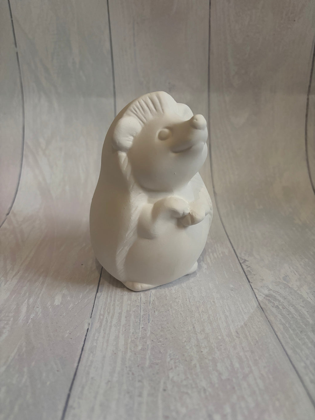 Hedgehog - PaintPott