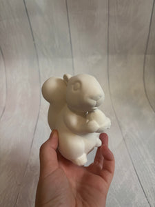 Squirrel - PaintPott