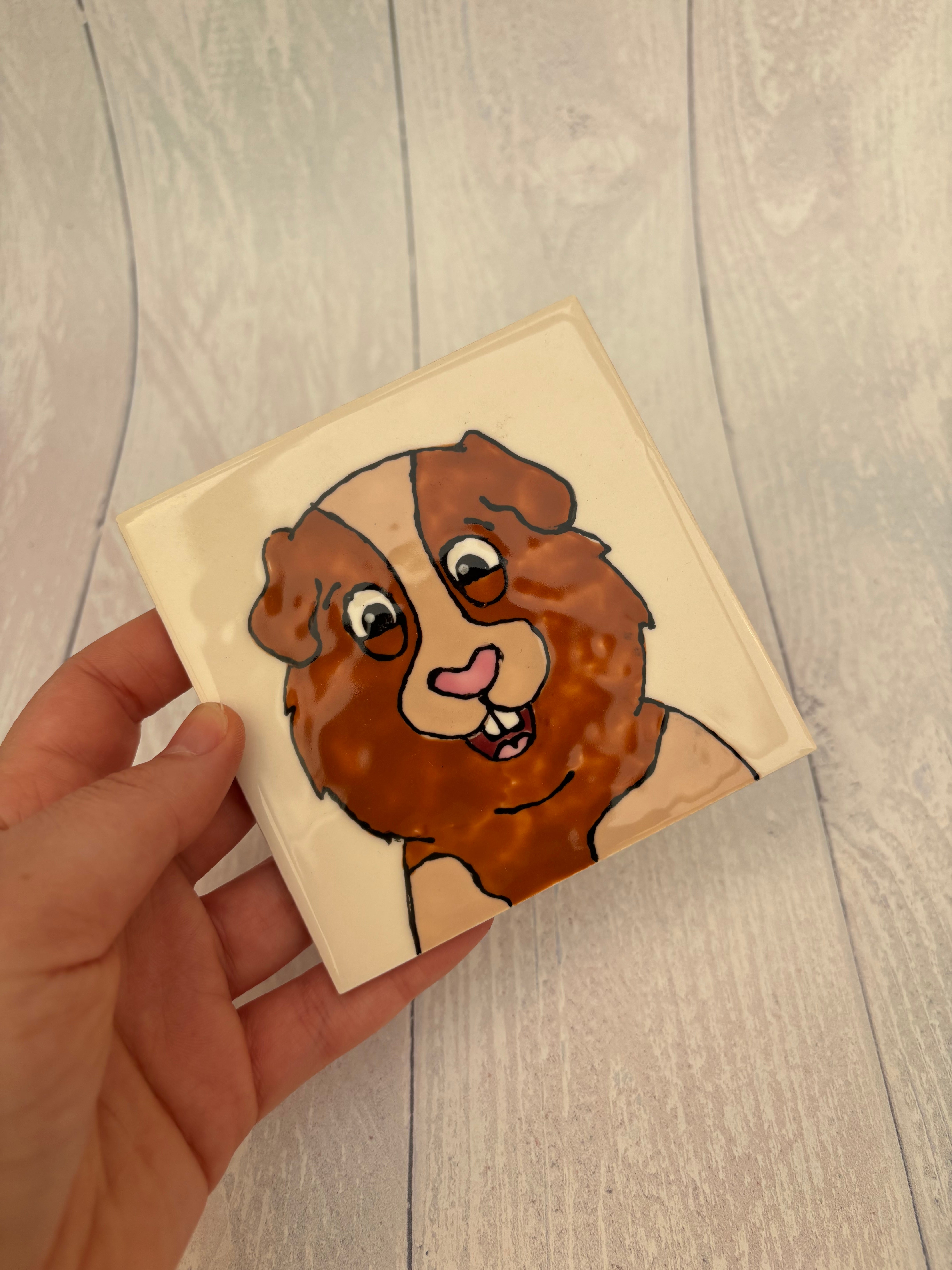 Cartoon Coaster