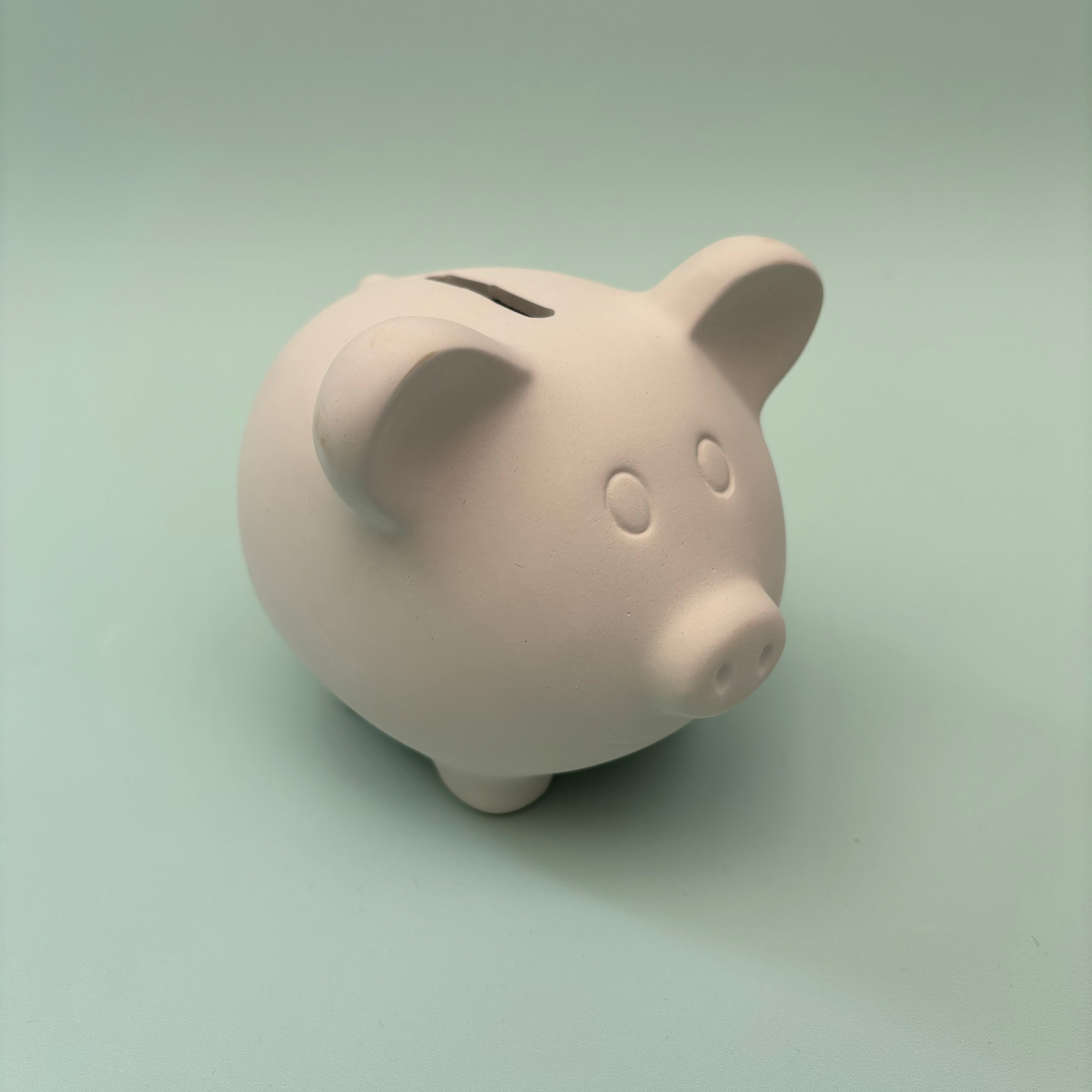 Piggy Bank - PaintPott