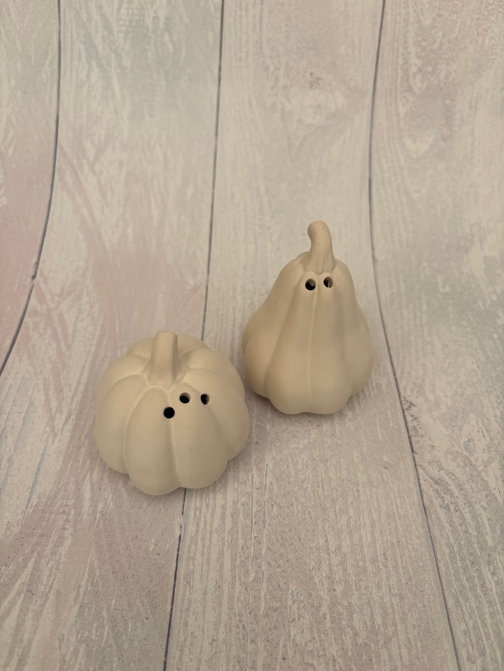 Pop Up Gourd S&P Pots - PaintPott