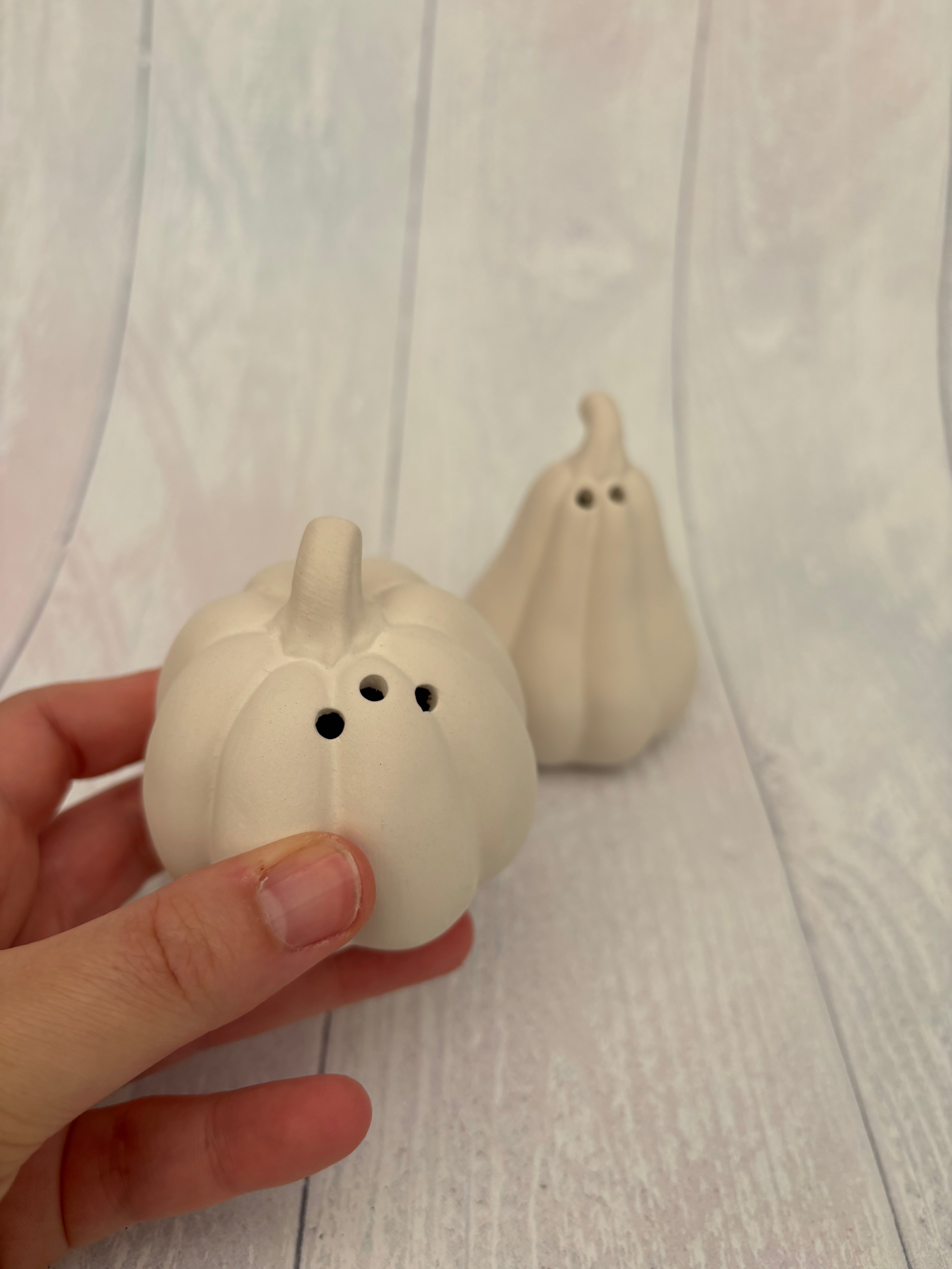 Pumpkin Seasoning Jars - PaintPott